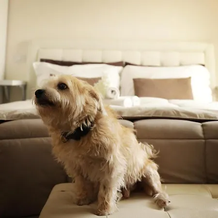 Ruins De Charme Panzió