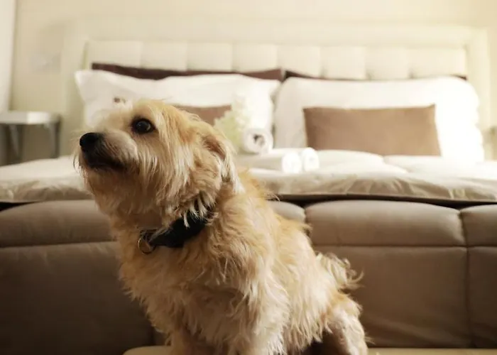 Ruins De Charme Bed & Breakfast